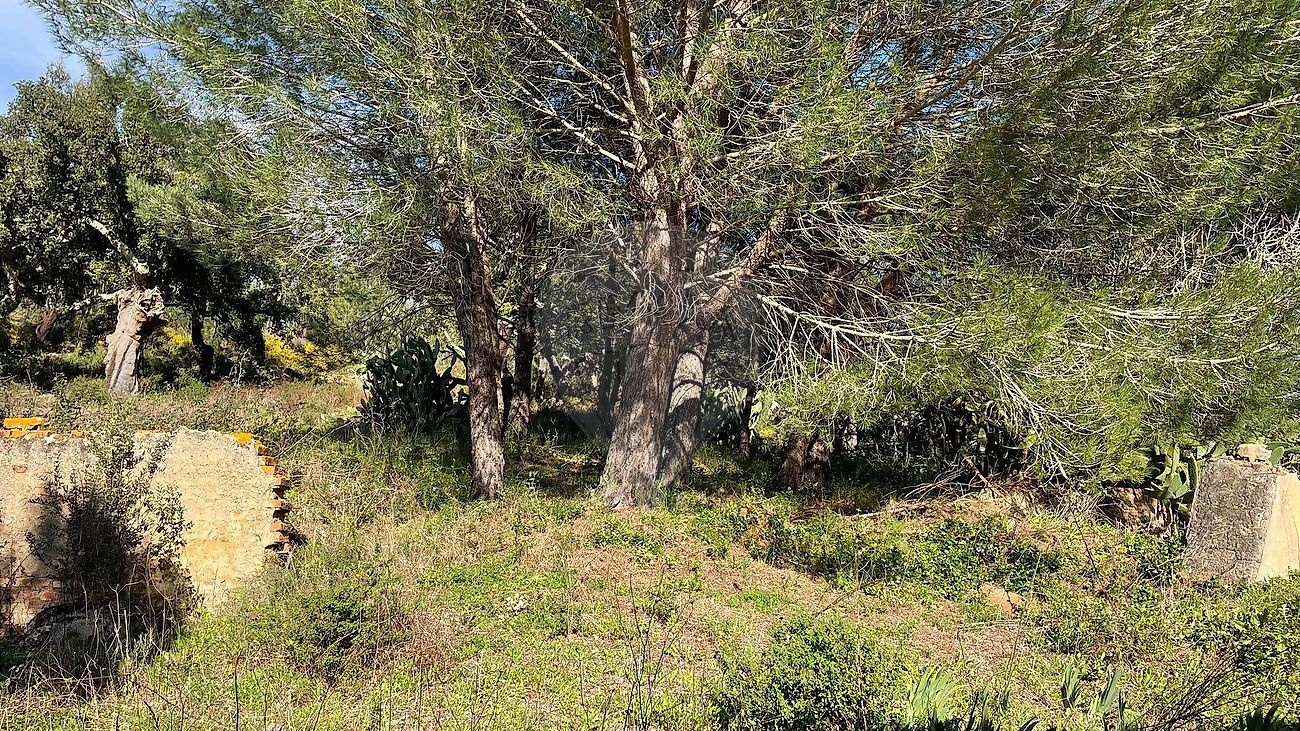 Moradia T4 à venda em Bemposta, Abrantes — foto 32