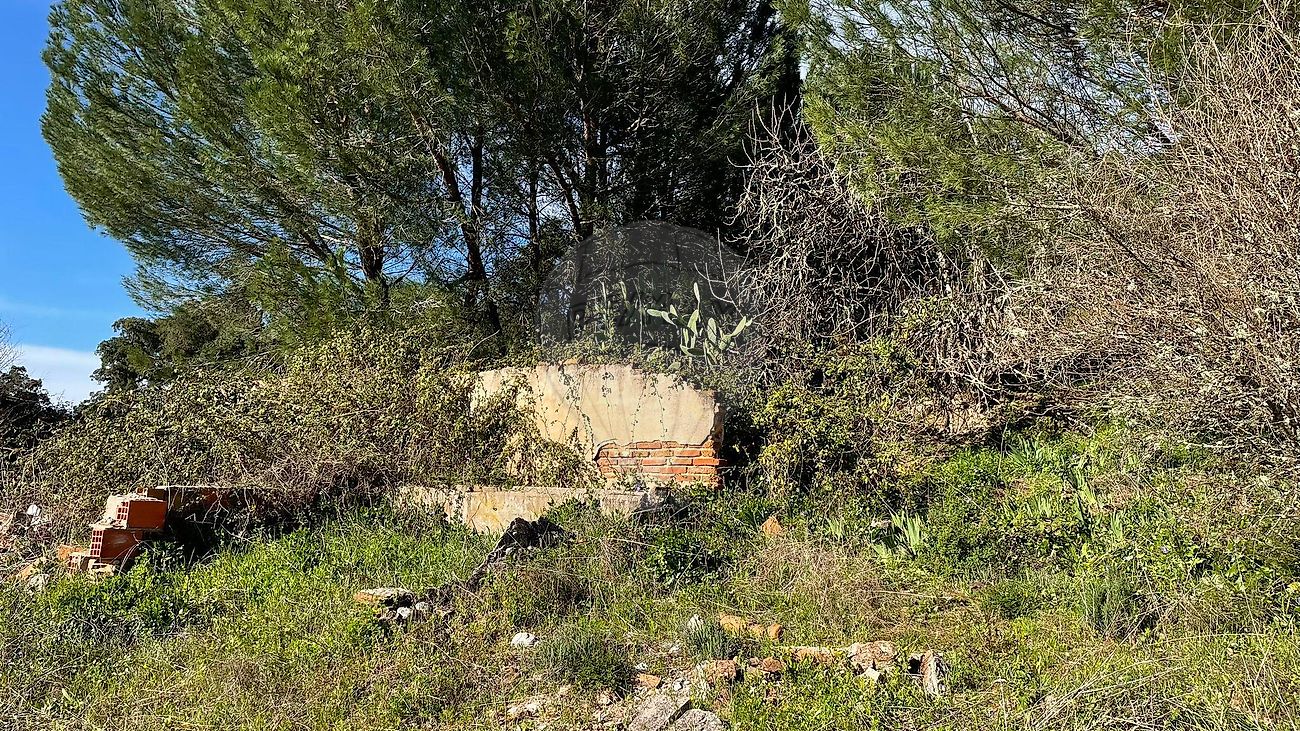 Moradia T4 à venda em Bemposta, Abrantes — foto 33