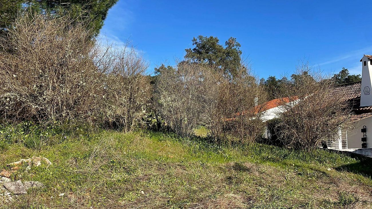 Moradia T4 à venda em Bemposta, Abrantes — foto 35