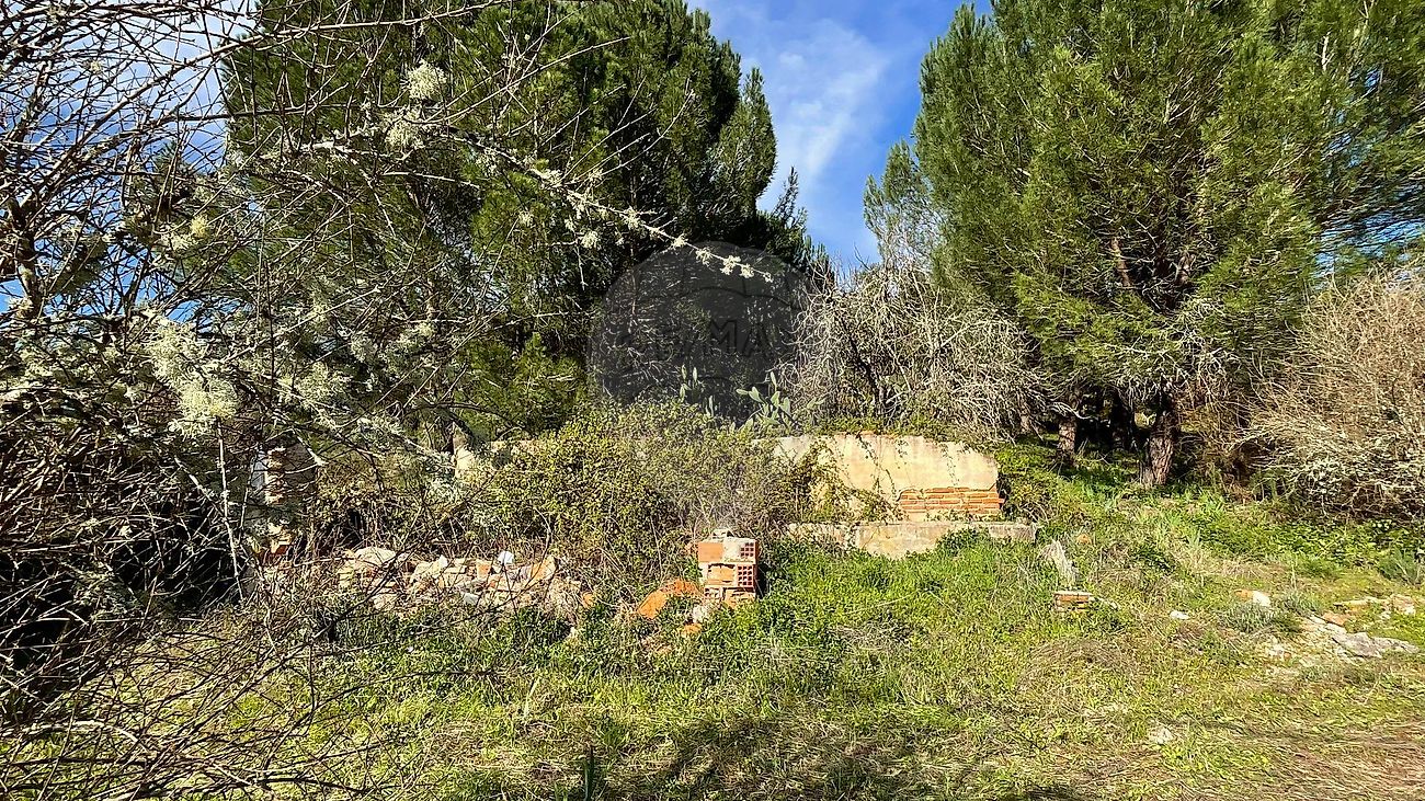 Moradia T4 à venda em Bemposta, Abrantes — foto 31