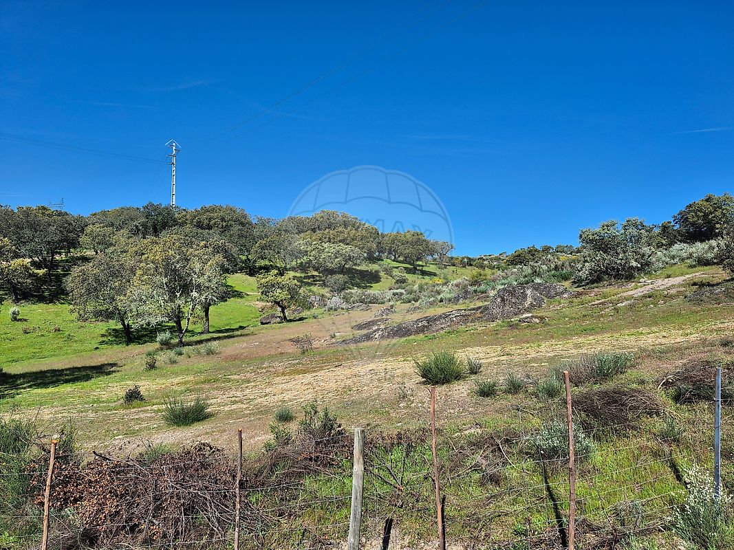 Terreno - Tolosa, Nisa, Portalegre