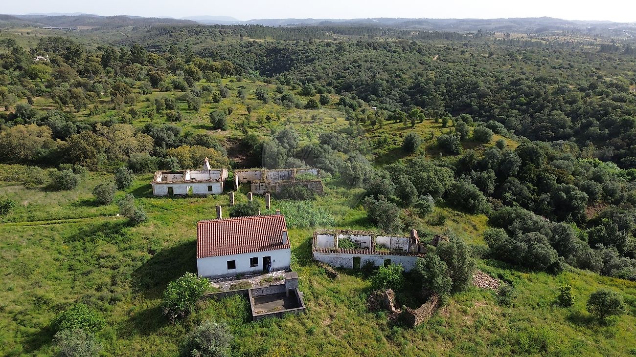 Quinta - Mouriscas, Abrantes, Santarém