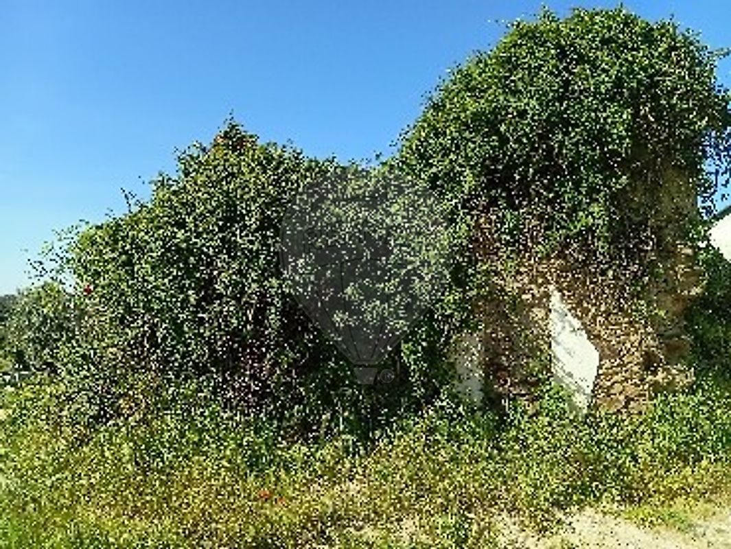 Quinta - Mouriscas, Abrantes, Santarém