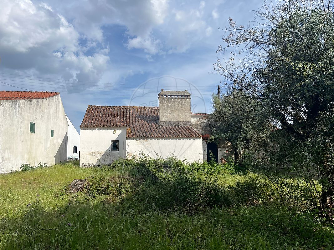 Quinta - Foros de Arrão, Ponte de Sor, Portalegre