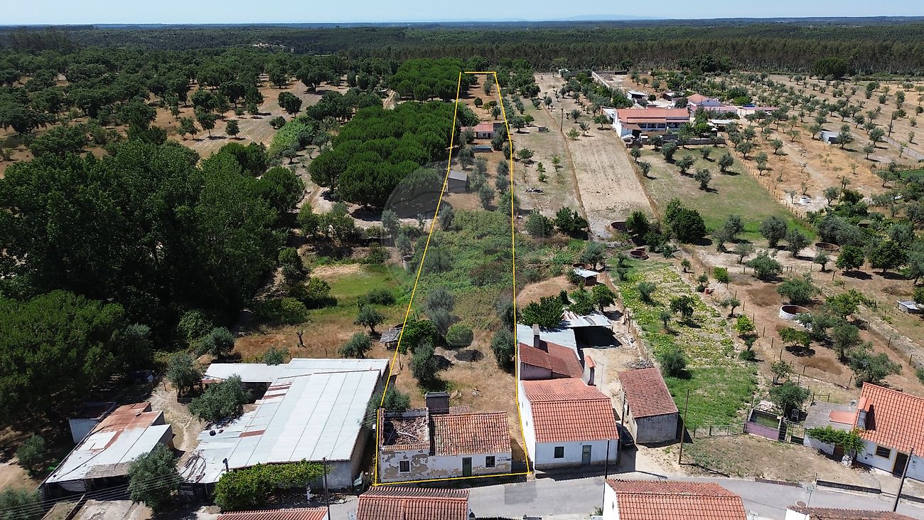 Quinta - Foros de Arrão, Ponte de Sor, Portalegre