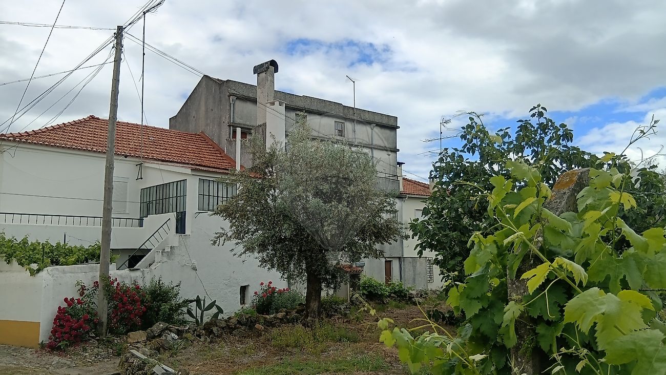 Moradia T5 à venda em Mação, Penhascoso e Aboboreira, Mação — foto 6