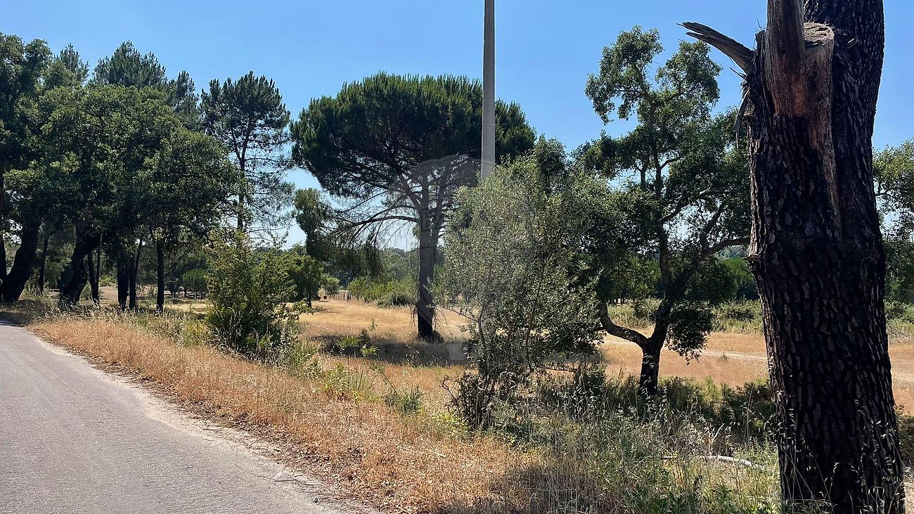 Terreno - Ponte de Sor, Tramaga e Vale de Açor, Ponte de Sor, Portalegre