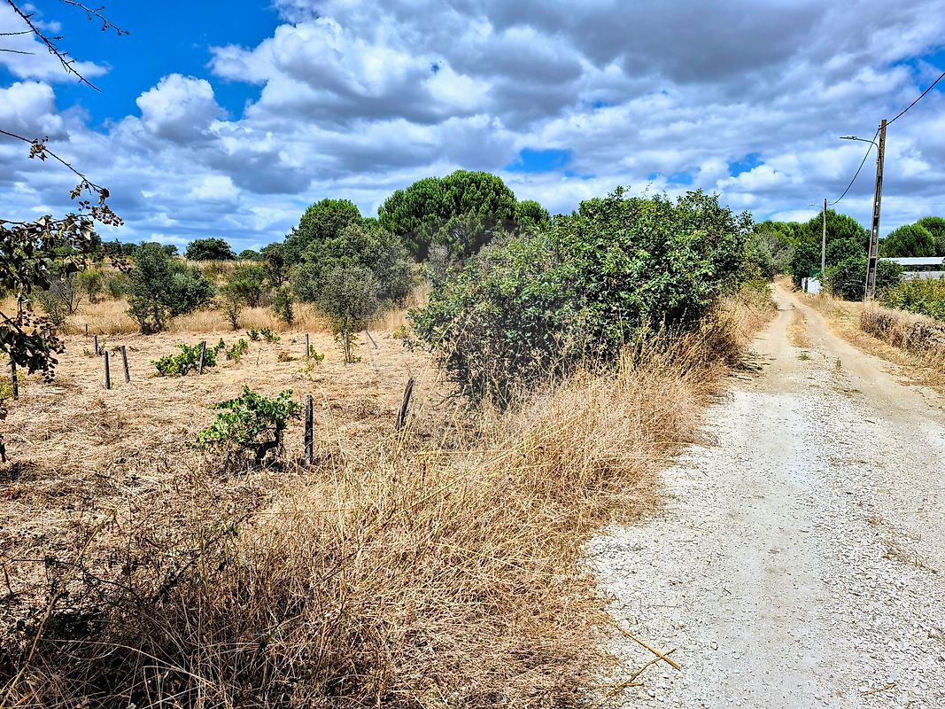 Terreno - Gavião e Atalaia, Gavião, Portalegre