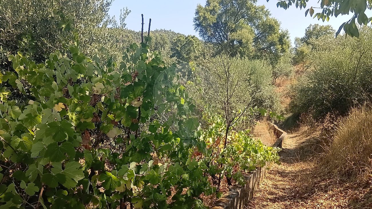Moradia T2 à venda em Carvalhal, Abrantes — foto 8