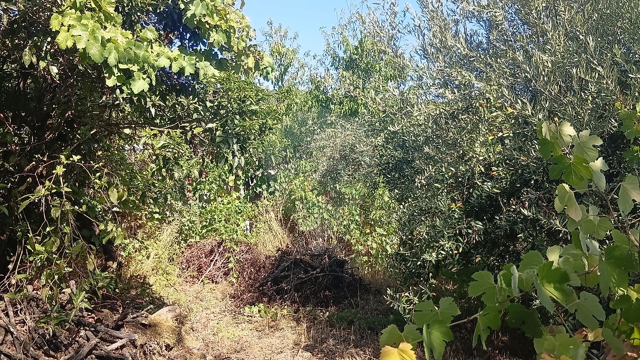 Moradia T2 à venda em Carvalhal, Abrantes — foto 7