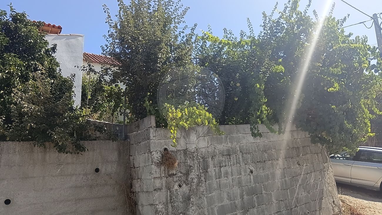 Moradia T2 à venda em Carvalhal, Abrantes — foto 21