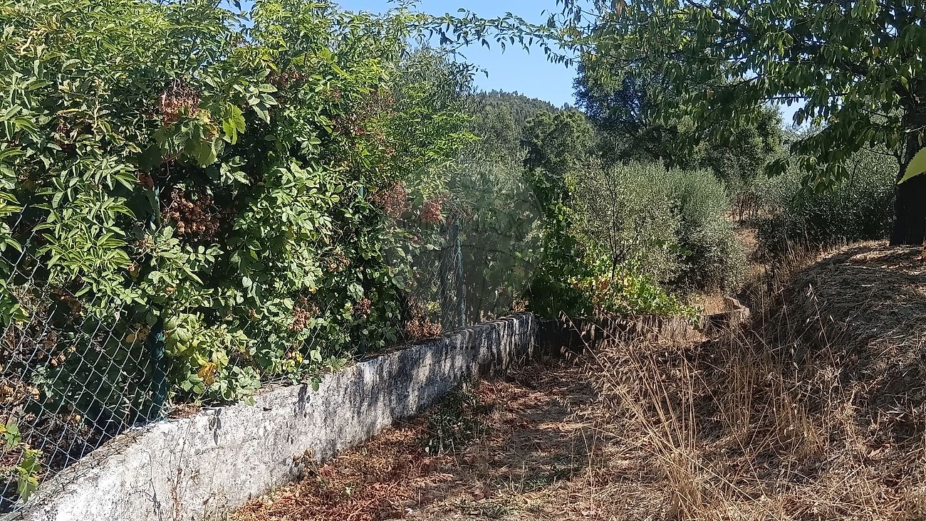 Moradia T2 à venda em Carvalhal, Abrantes — foto 18