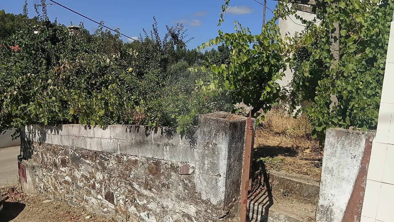 Moradia T2 à venda em Carvalhal, Abrantes — foto 15