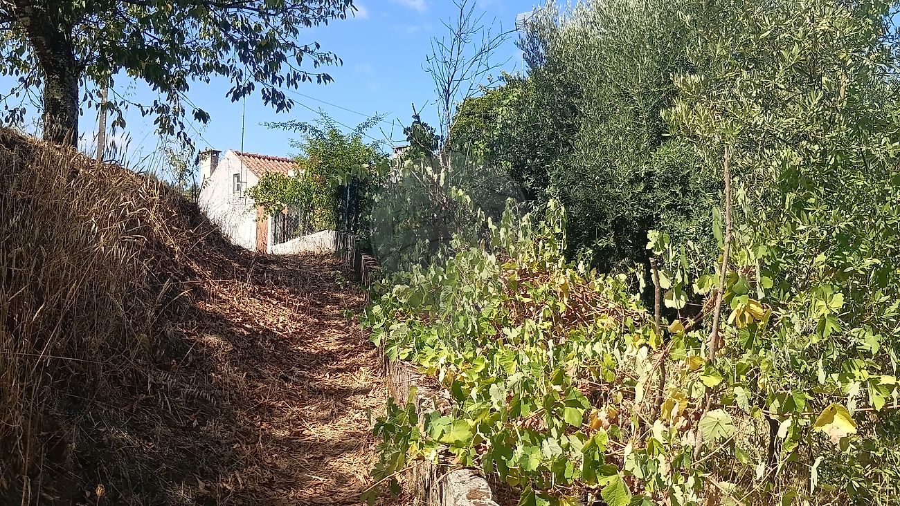 Moradia T2 à venda em Carvalhal, Abrantes — foto 19