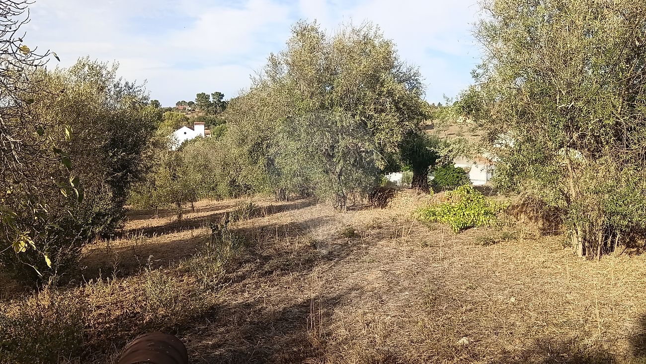 Moradia T4 à venda em Mouriscas, Abrantes — foto 7