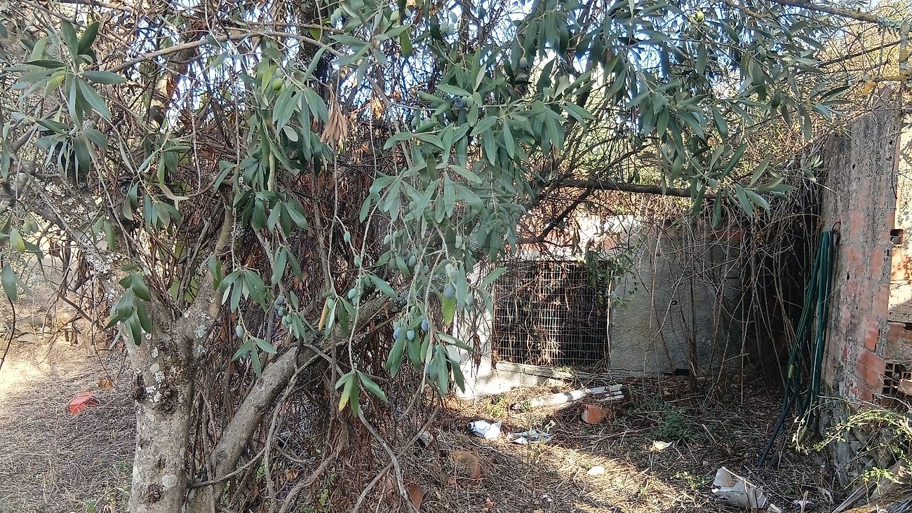 Moradia T4 à venda em Mouriscas, Abrantes — foto 8