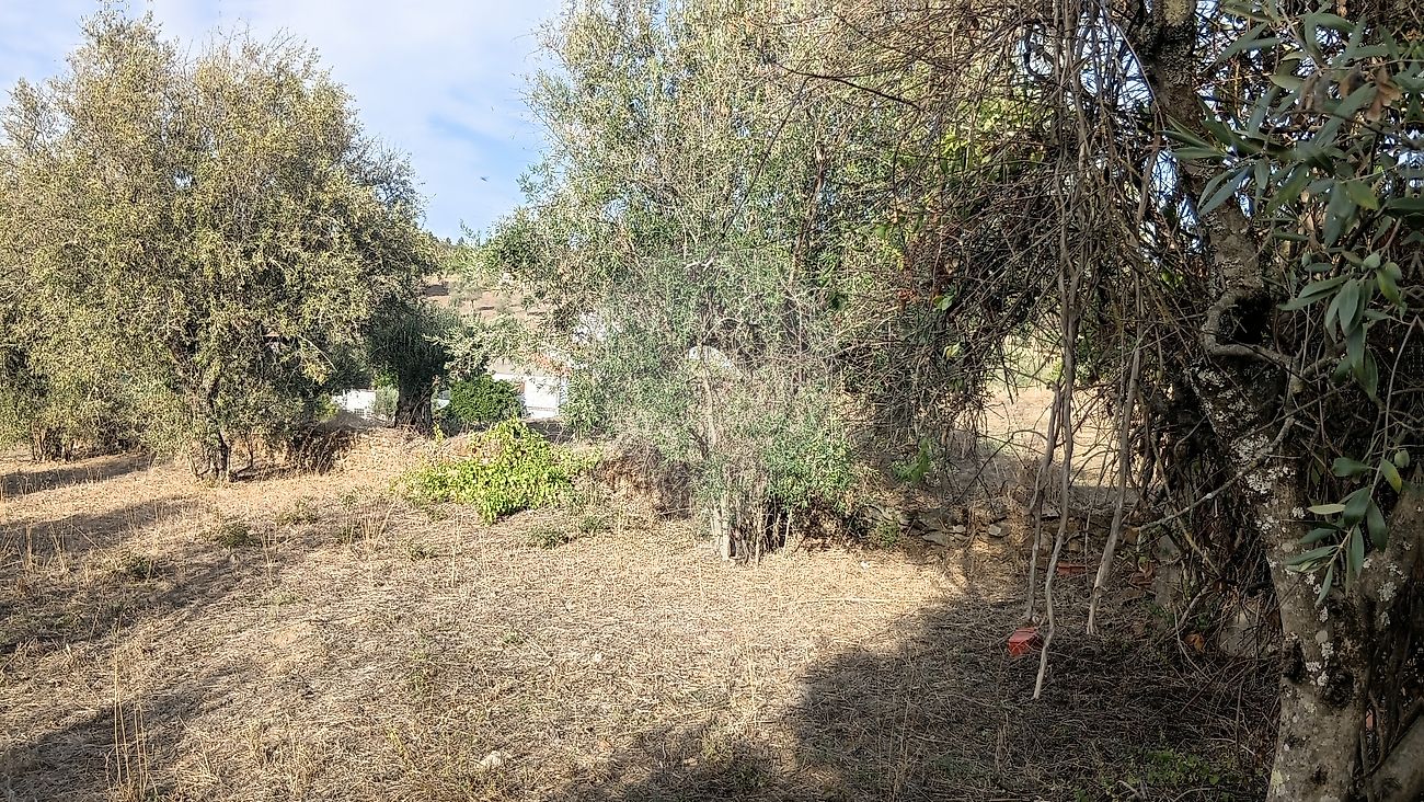 Moradia T4 à venda em Mouriscas, Abrantes — foto 6