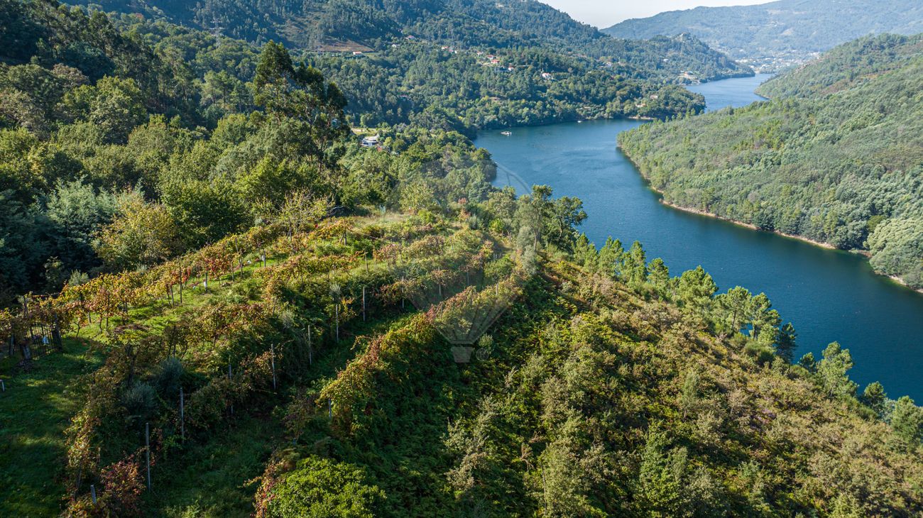 Terreno  para venda