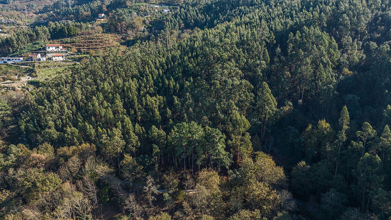 listing 125181071-136 picture-0