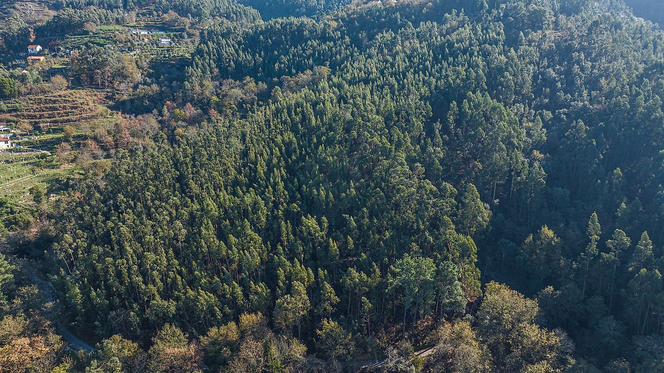 listing 125181071-136 picture-0