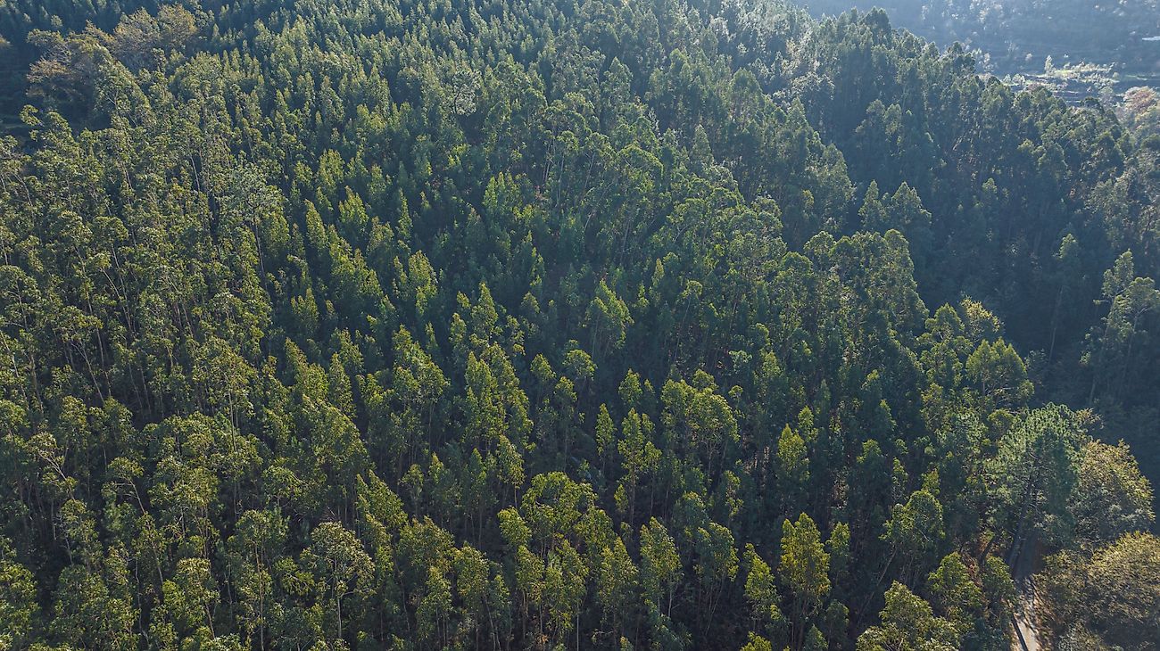 listing 125181071-136 picture-0