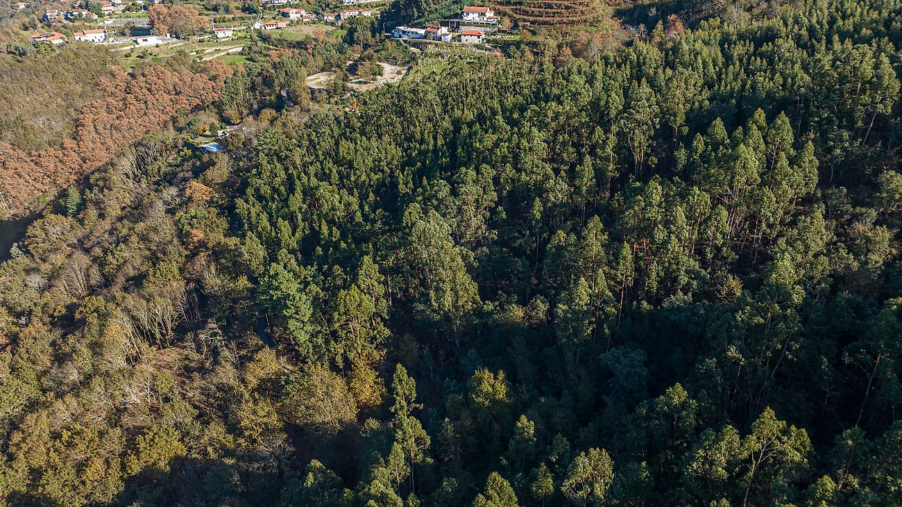 listing 125181071-136 picture-0