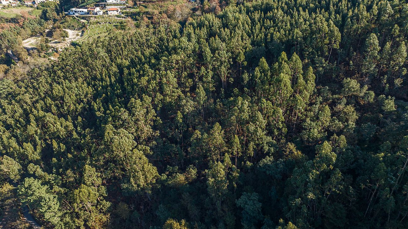 listing 125181071-136 picture-0