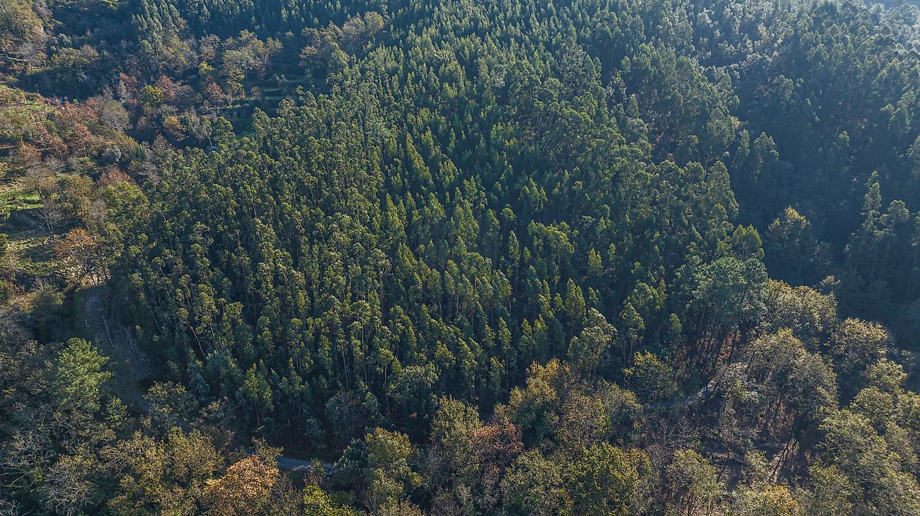 listing 125181071-136 picture-0