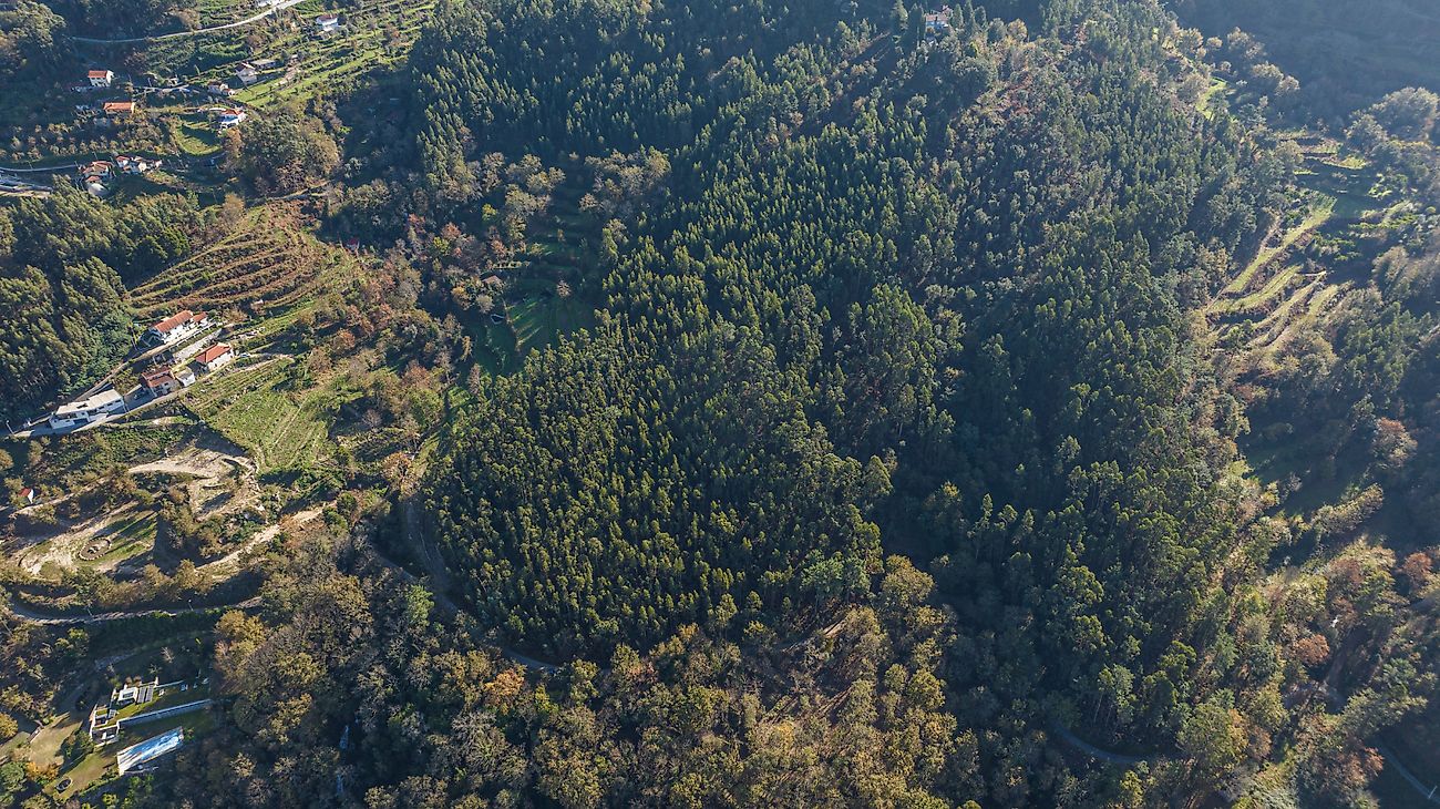 listing 125181071-136 picture-0