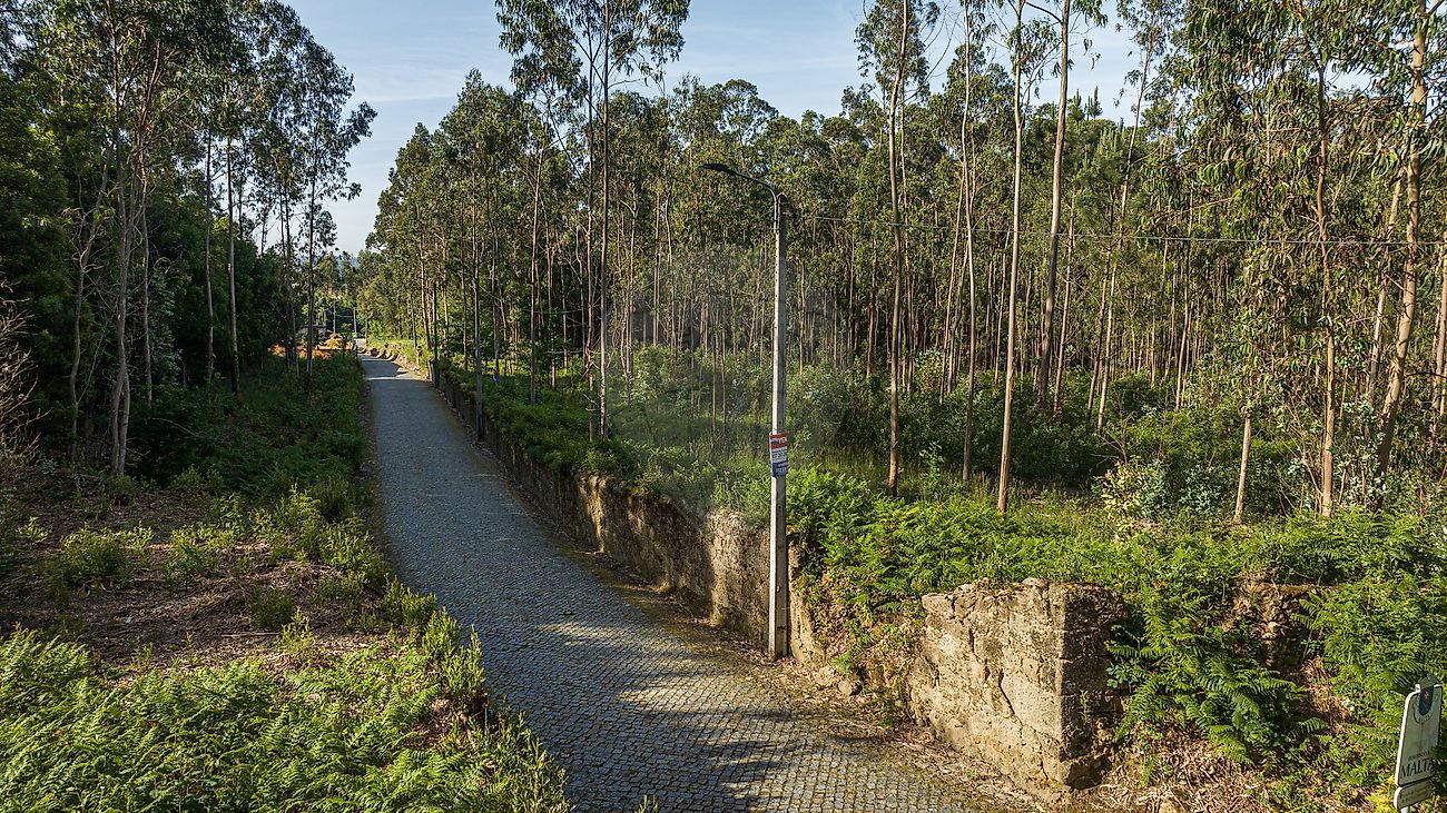 Terreno para venda