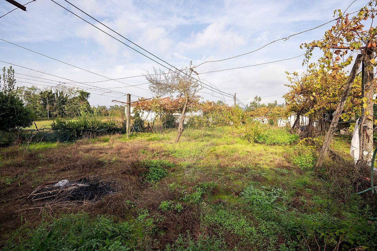 Terreno para venda