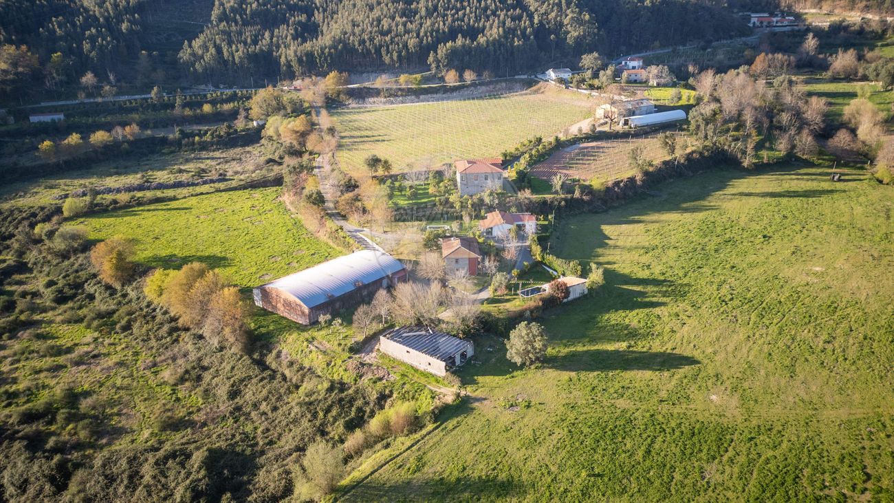 Quinta para venda