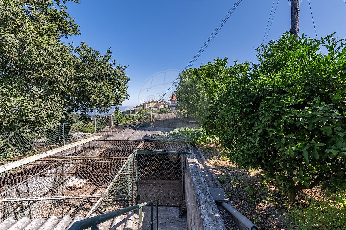 listing 125181163-51 picture-0