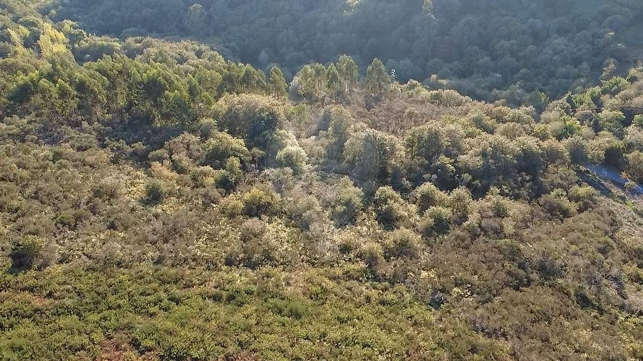 Terreno  para venda