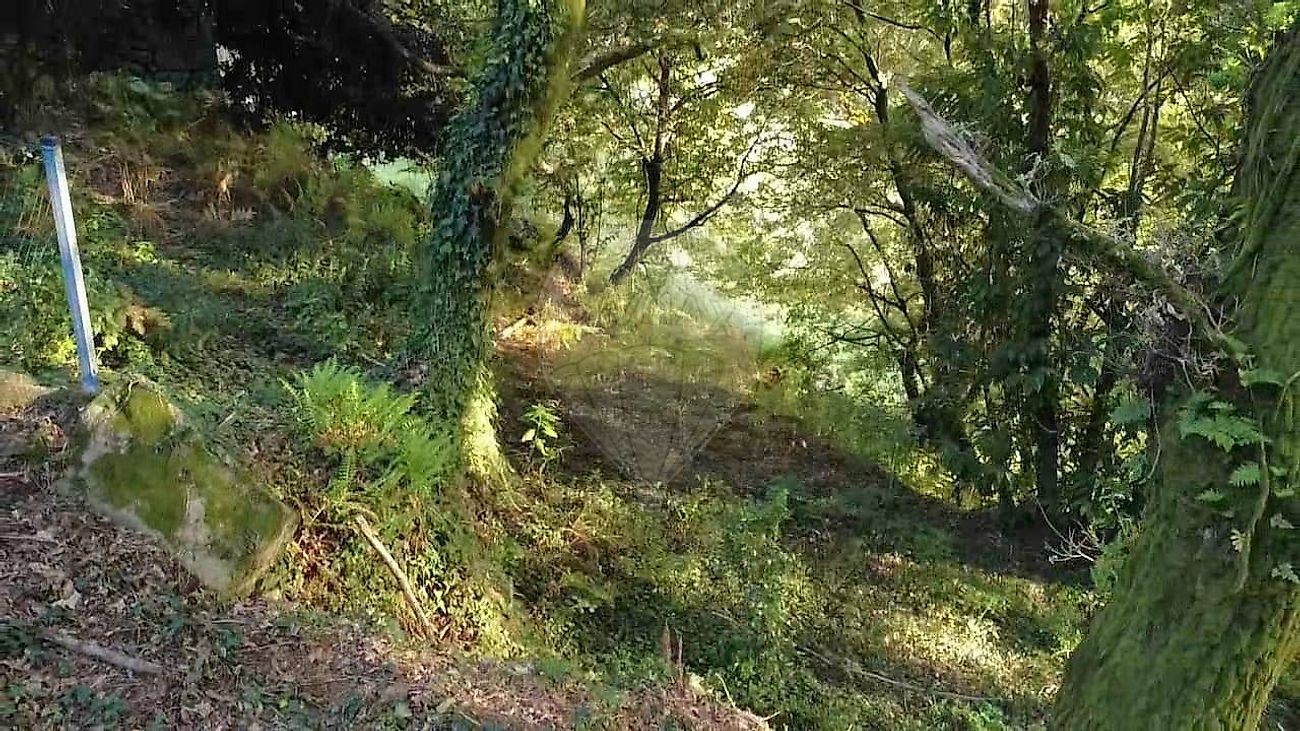 TODO