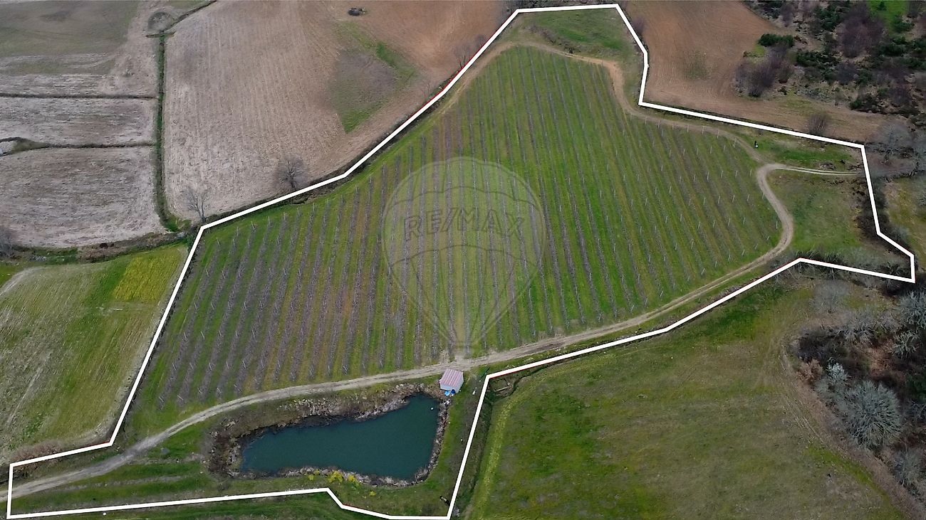 Terreno - Fonte Longa, Carrazeda de Ansiães, Bragança
