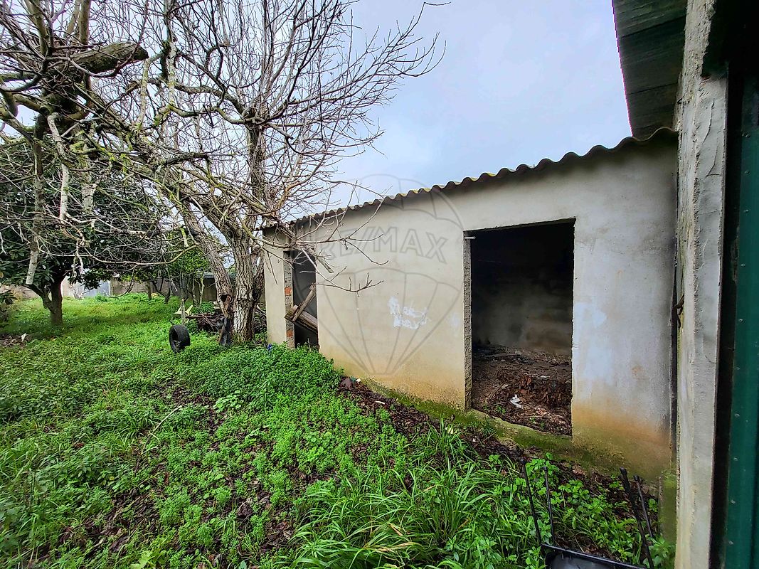 listing-picture-0