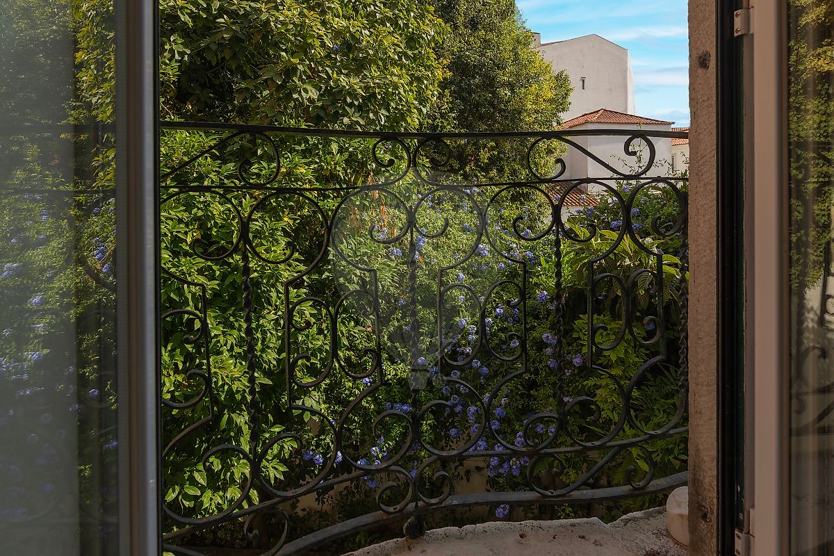 listing 125191008-207 picture-0