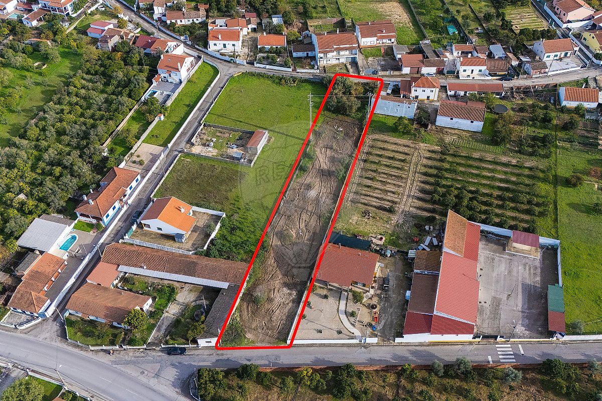 Terreno - Carregueira, Chamusca, Santarém