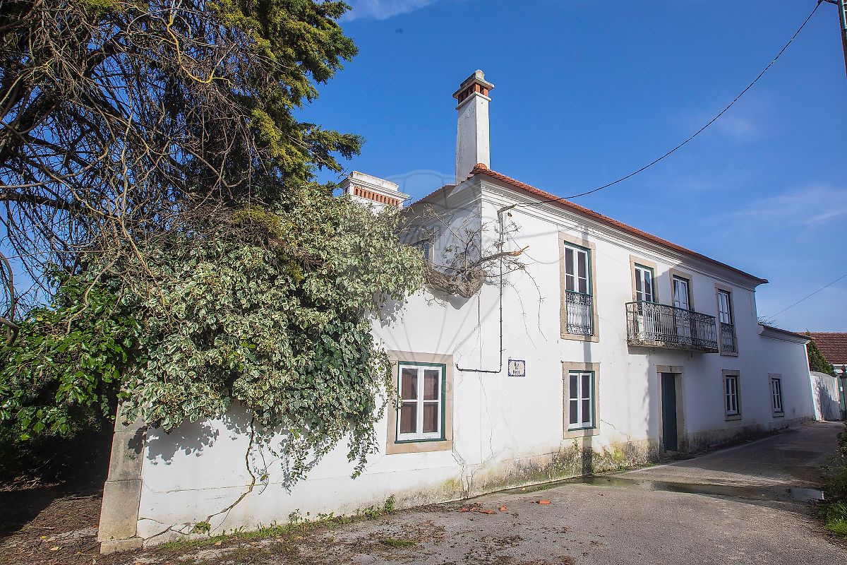 Quinta - Assentiz, Torres Novas, Santarém