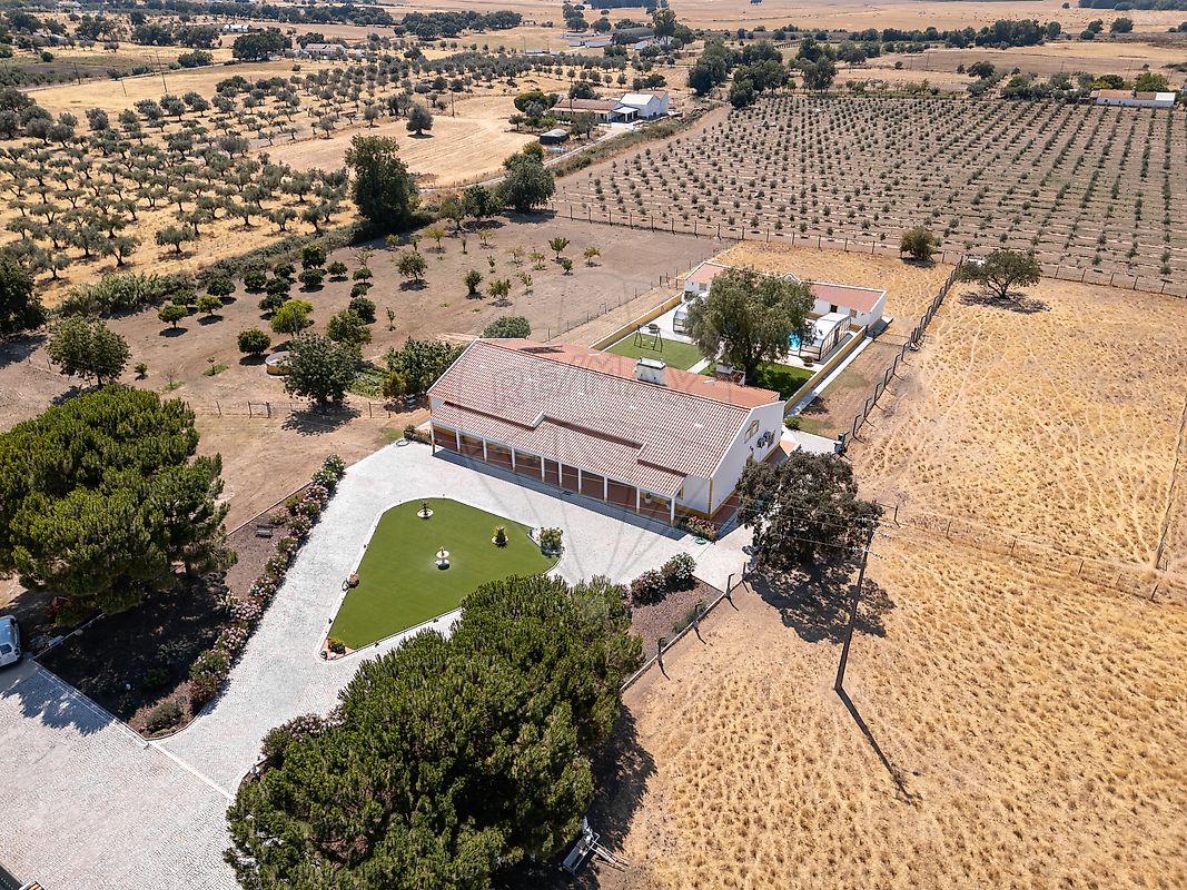 Quinta - Viana do Alentejo, Viana do Alentejo, Évora