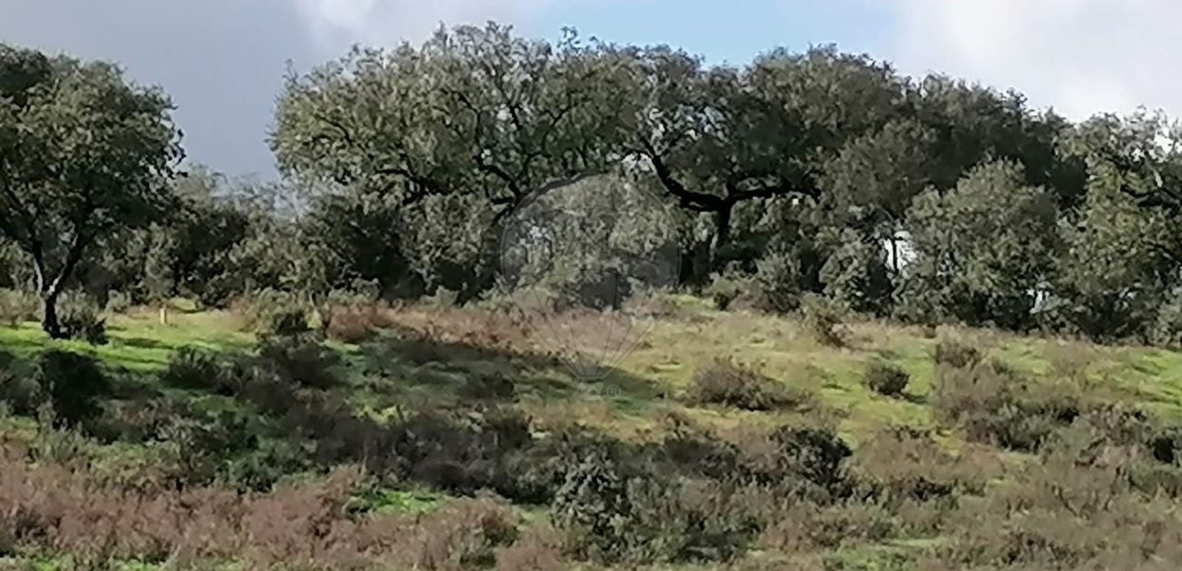 TODO