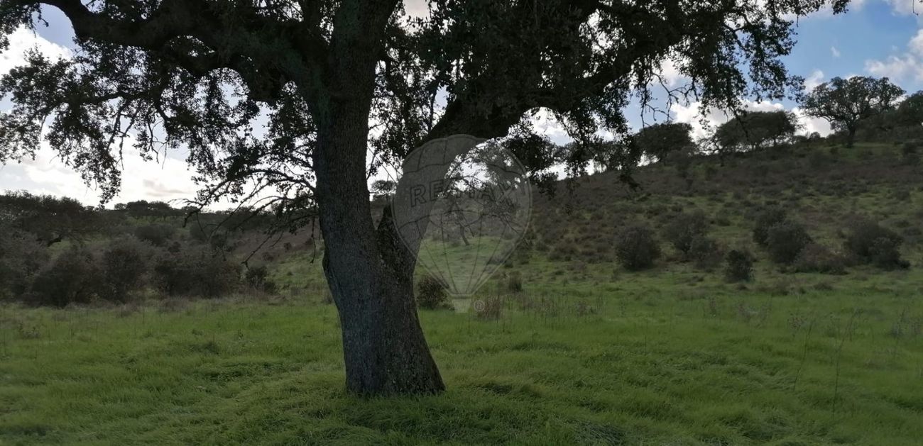 TODO