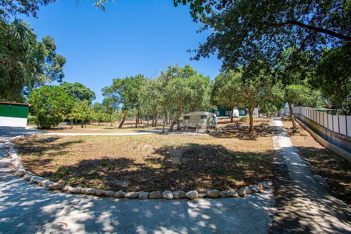 listing 125211076-25 picture-0