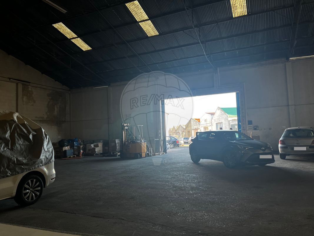 listing-picture-0