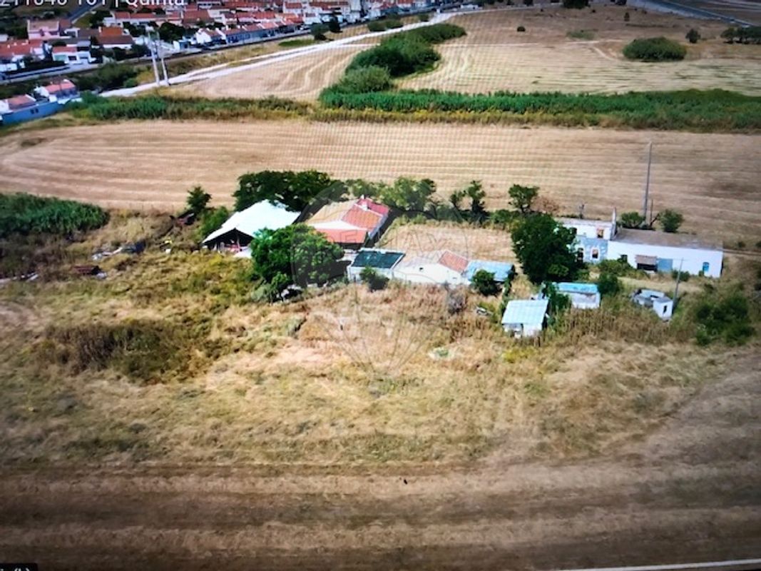listing-picture-0