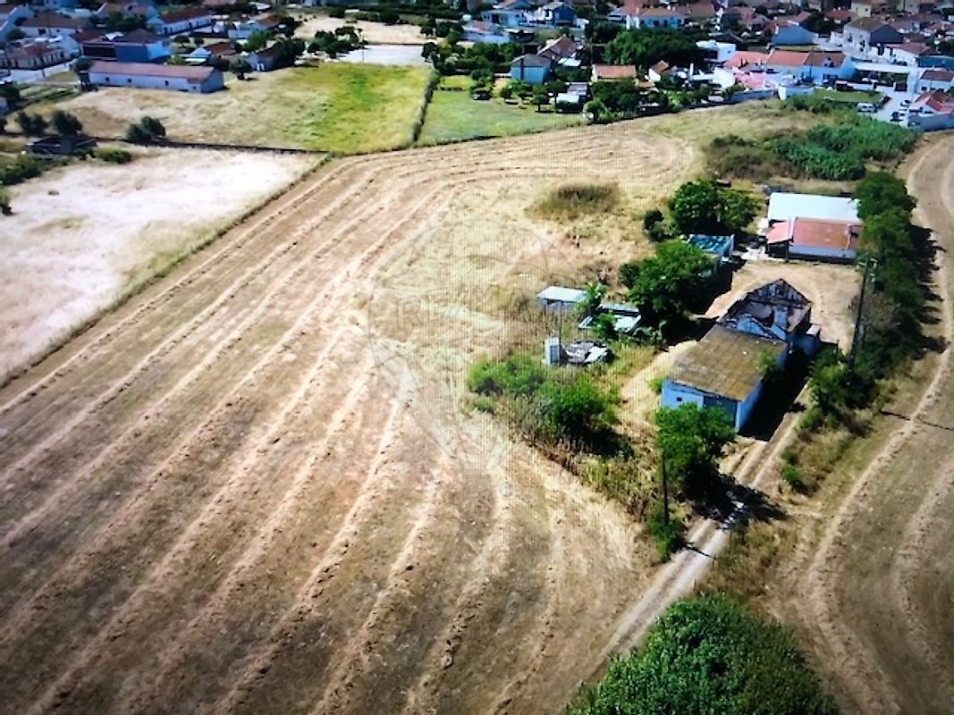 listing-picture-0