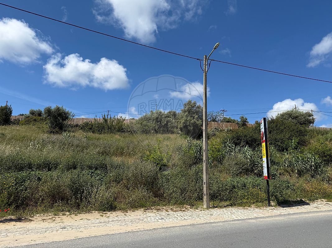 Terreno - Melides, Grândola, Setúbal
