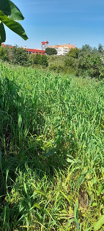 Land for sale in Seixal, Portugal — €2,000,000