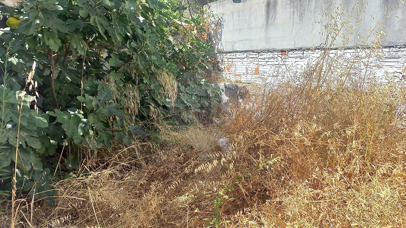 Moradia T1 à venda em Montargil, Ponte de Sor — foto 14